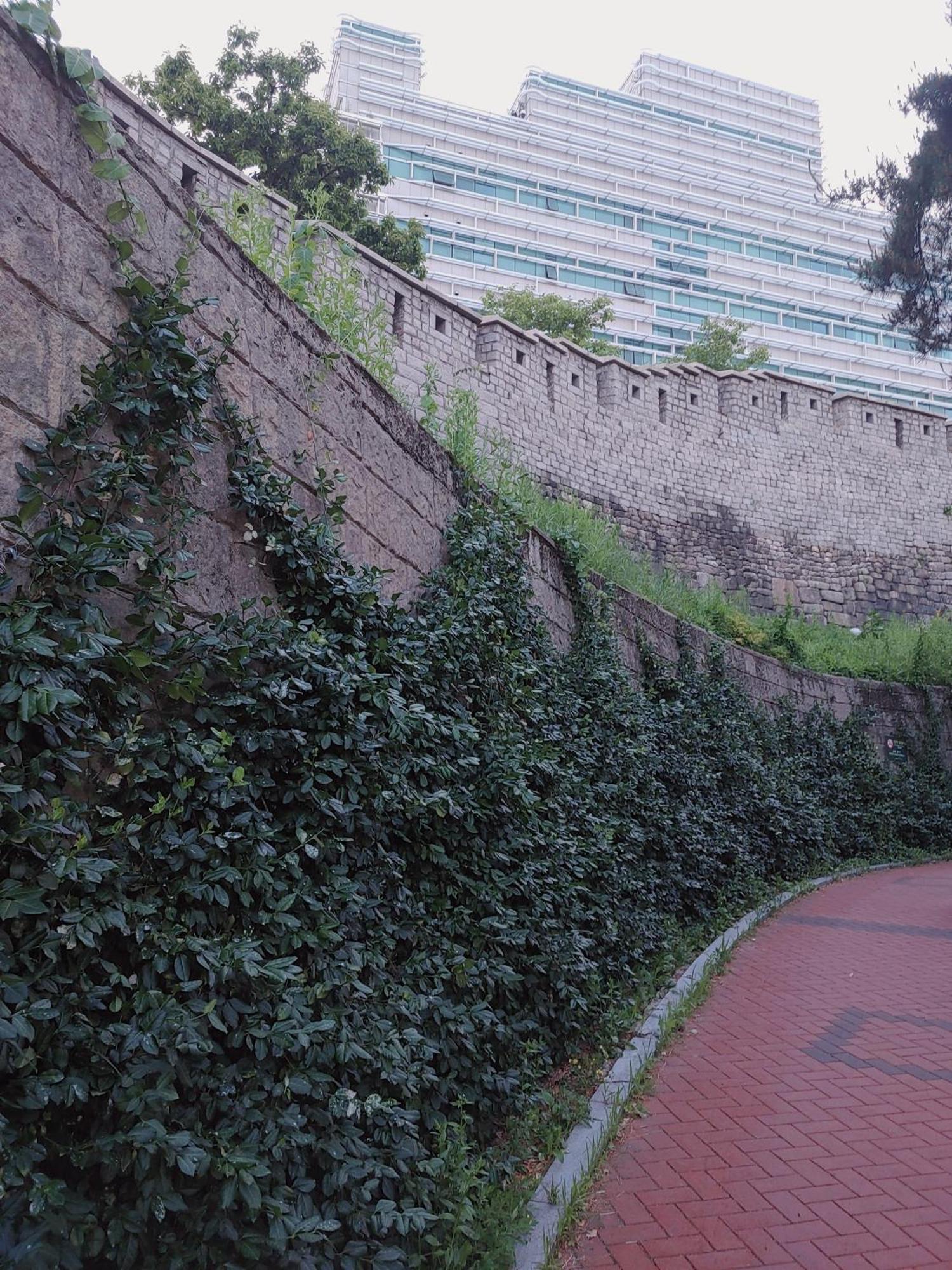 Cobe Guesthouse Dongdaemun Сеул Экстерьер фото