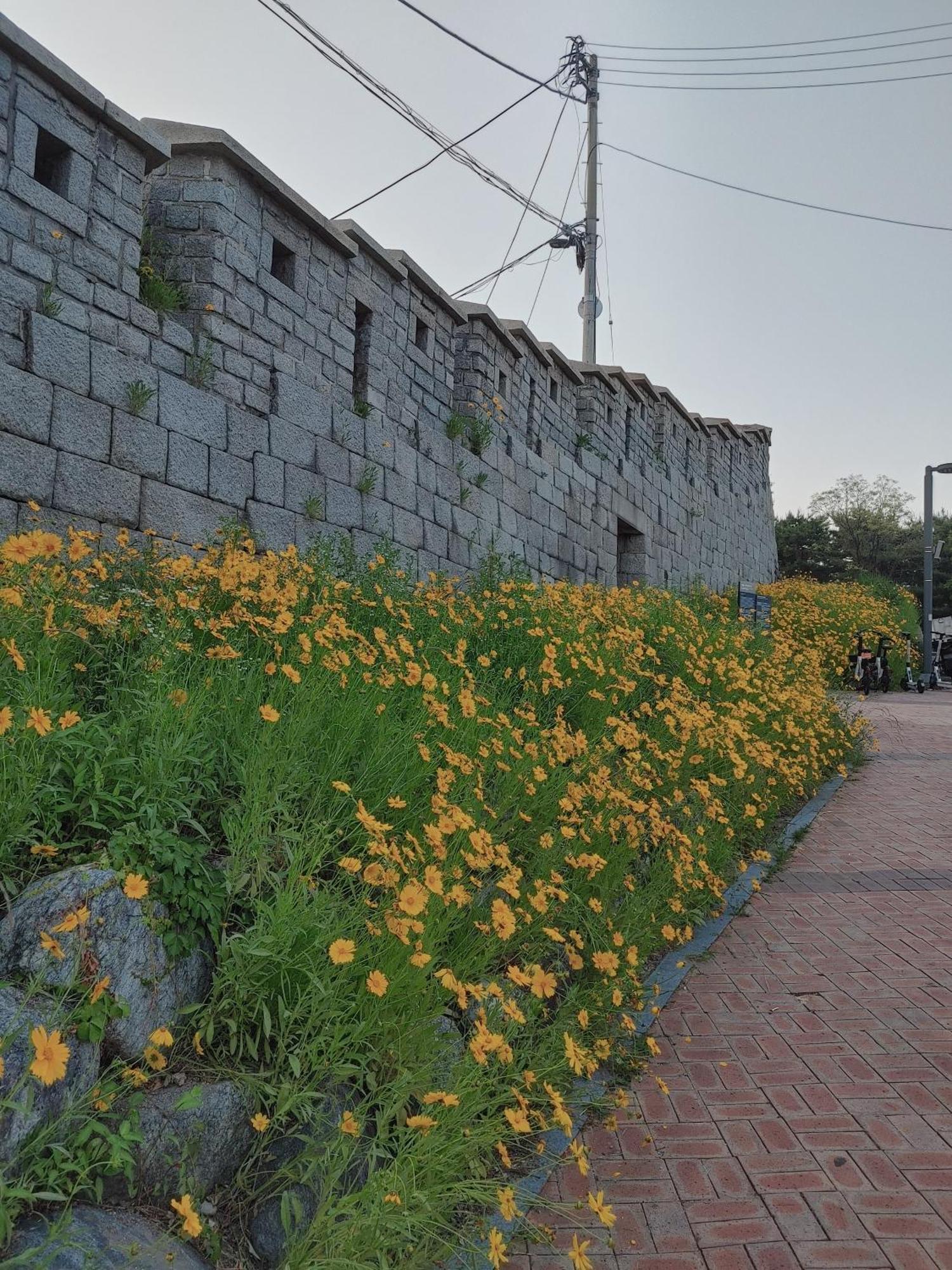 Cobe Guesthouse Dongdaemun Сеул Экстерьер фото